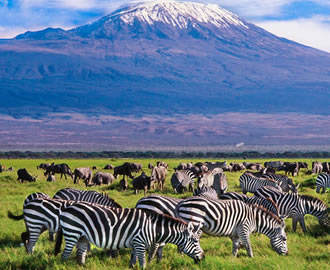 Kilimajaro Safaris and Self drive Tours plus Mount Meru Tours