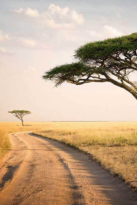 Africa 4x4 Safaris