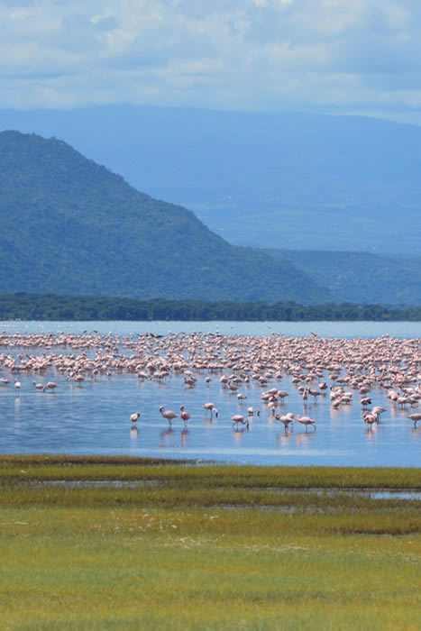 Lake Naivasha kenya