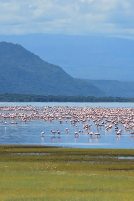 Lake Naivasha kenya