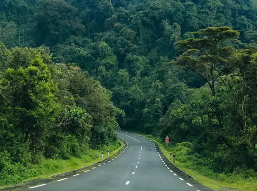 Nyungwe-Forest-National-Park-Rwanda