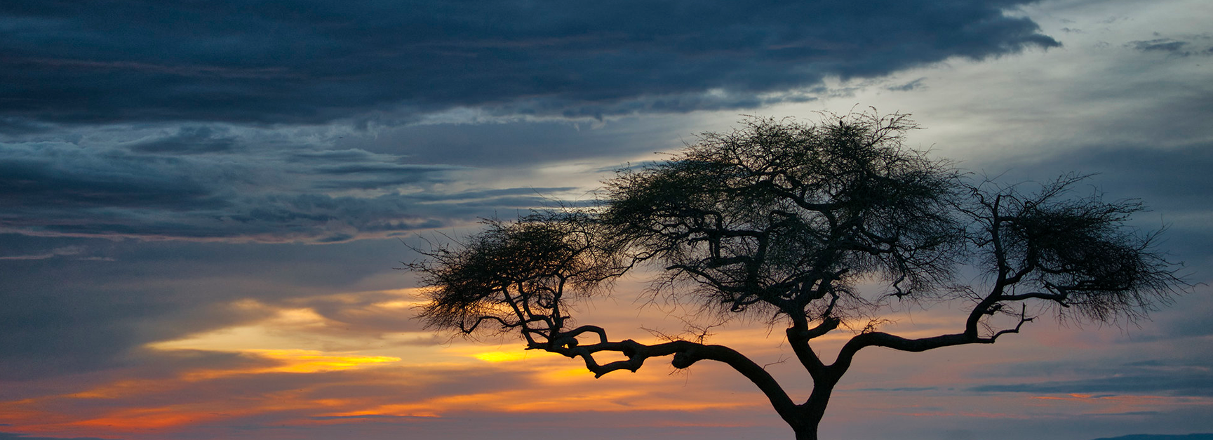 4x4 Africa Self drive Safaris - Car hire and Camping Trips