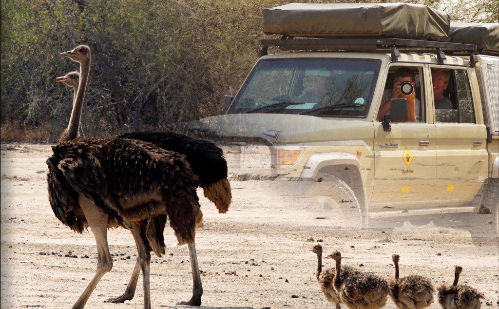 4x4-Botswana-Safaris-Southern-Africa-Road-trips