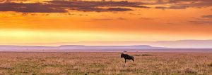 Combining Southern and East Africa on one independent trip