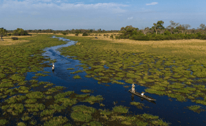 Botswana — The deep wilderness