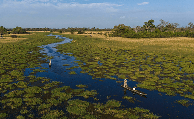 Botswana — The deep wilderness