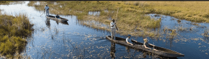 Self-drive the Okavango Delta in Botswana. Discover wildlife, flood seasons, campsites & budget accommodation. Rent a 4×4 from Maun with 4x4 Road Trips