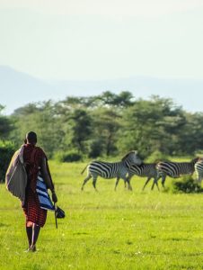 Mikumi National Park