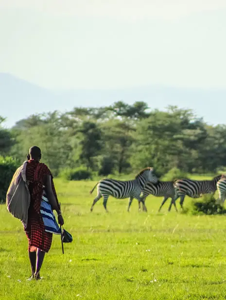 The West Route: Mikumi National Park & Iringa