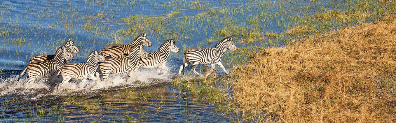 The Okavango Delta, Botswana