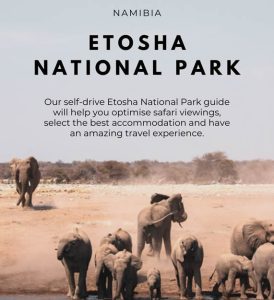 Southern Africa is the world's best self-drive safari region. Discover routes through Namibia, Botswana & Zimbabwe with our independent traveler's guide