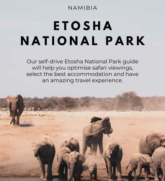 Southern Africa is the world's best self-drive safari region. Discover routes through Namibia, Botswana & Zimbabwe with our independent traveler's guide