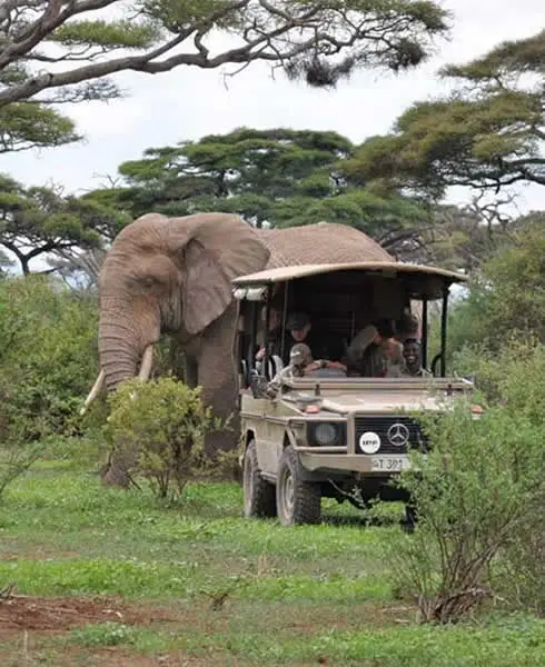 destinations for independent self-drive trips