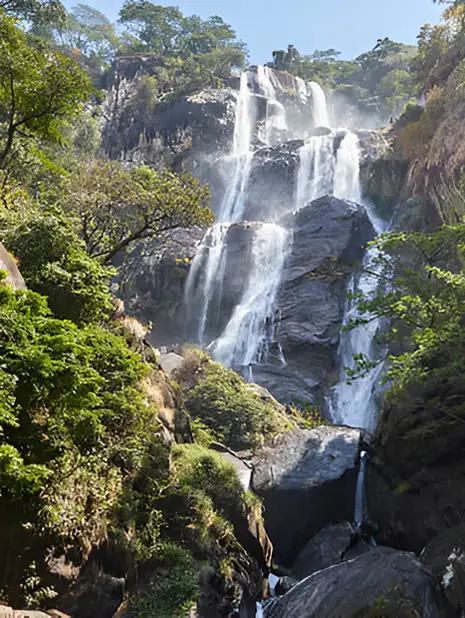 Southwest: Udzungwa Mountains National Park