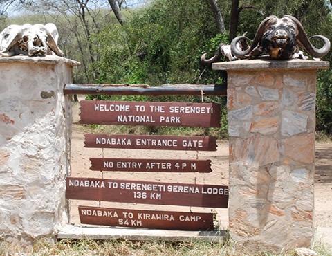 4x4 Arusha Car hire Tanzania Safaris