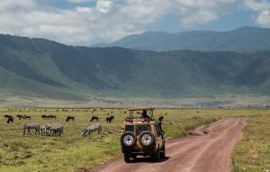 Plan a self-drive 4×4 safari into Ngorongoro Crater: 2026 entry fees, ranger permits, best season to visit, and Big Five wildlife — Tanzania's "Eighth Wonder.