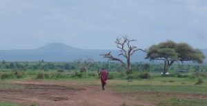 Tanzania is home to three of Africa’s most legendary safari destinations