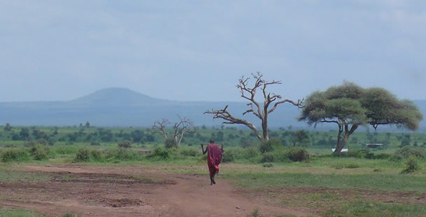 Tanzania is home to three of Africa’s most legendary safari destinations