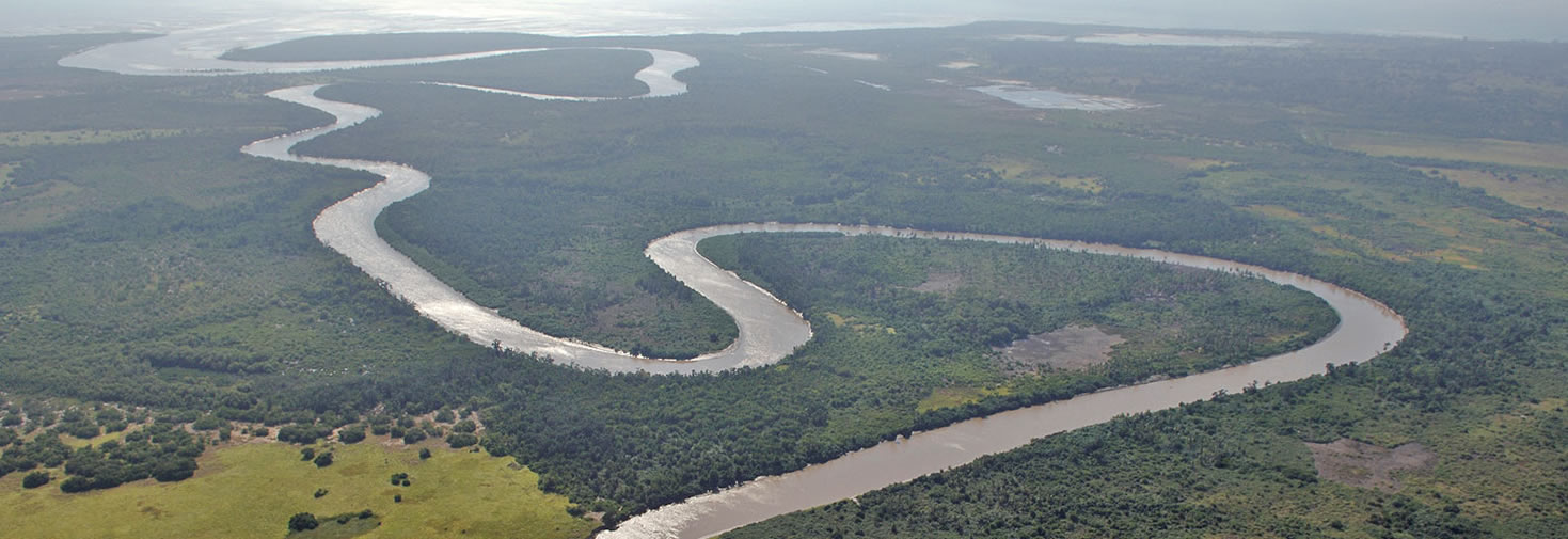 Glide past hippos and crocs on a Wami River boat safari in Saadani National Park — plus the best beaches, game drives, and walking trails nearby