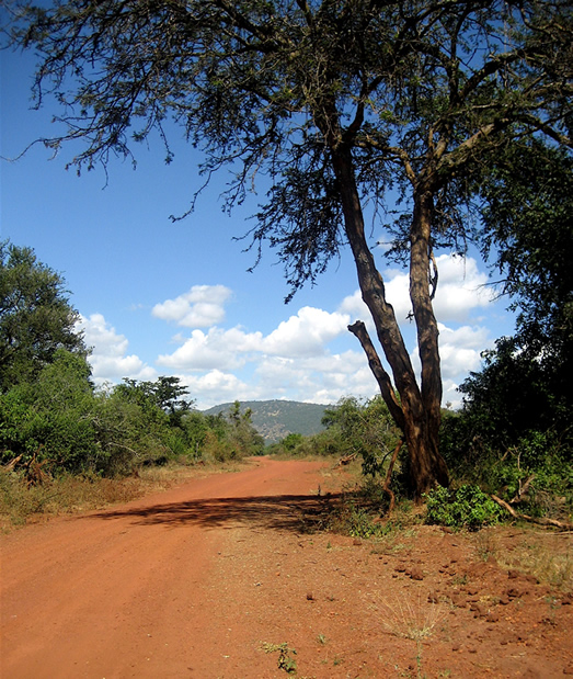Self-drive 4×4 rentals with camping gear for Uganda, Kenya, Rwanda & Tanzania. One-way hires, gorilla trekking, and Southern Africa overland routes