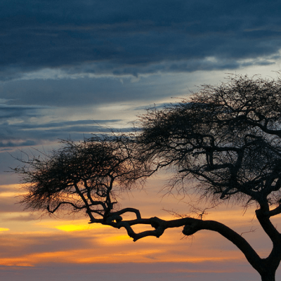 4x4 Africa Self drive Safaris - Car hire and Camping Trips