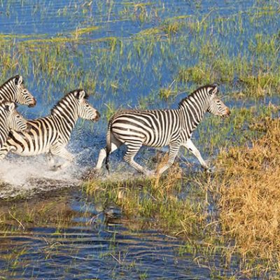 The Okavango Delta, Botswana