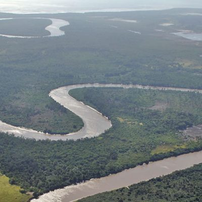 Glide past hippos and crocs on a Wami River boat safari in Saadani National Park — plus the best beaches, game drives, and walking trails nearby
